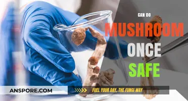 Is It Safe to Consume Magic Mushrooms Just Once?