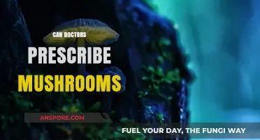 Can Doctors Prescribe Mushrooms? Exploring Psilocybin's Medical Potential