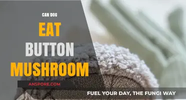 Can Dogs Safely Eat Button Mushrooms? A Pet Owner's Guide