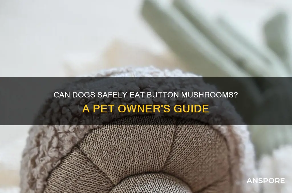 can dog eat button mushroom