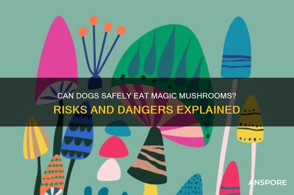 can dog eat magic mushrooms