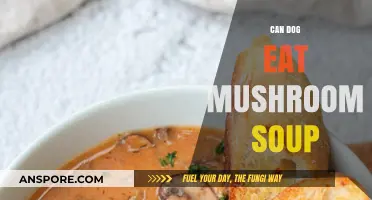 Can Dogs Safely Eat Mushroom Soup? A Pet Owner's Guide