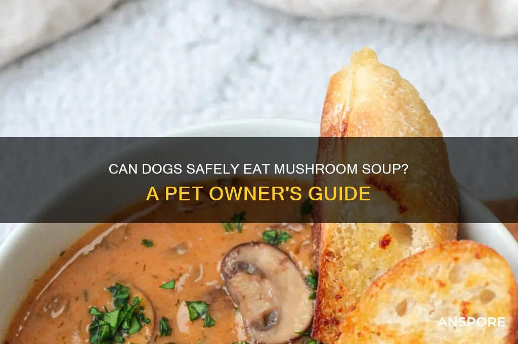 can dog eat mushroom soup