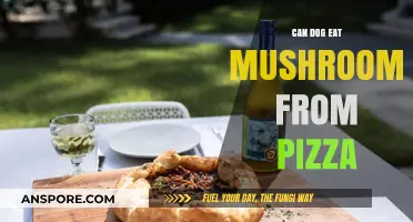 Can Dogs Eat Pizza Mushrooms? Safety Tips for Pet Owners