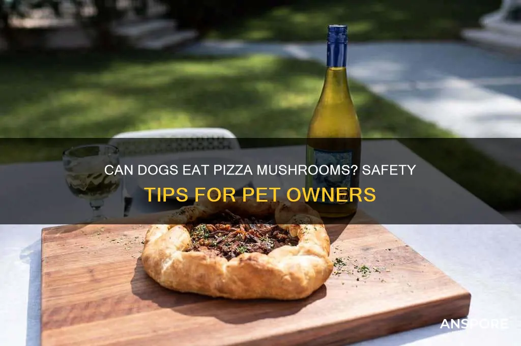 can dog eat mushrooms from pizza