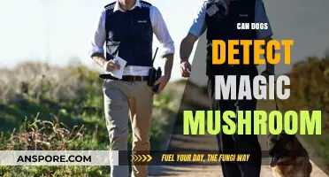 Can Dogs Sniff Out Magic Mushrooms? Exploring Their Detection Abilities