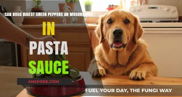 Can Dogs Safely Digest Green Peppers and Mushrooms in Pasta Sauce?