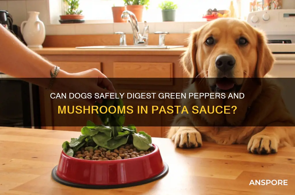 can dogs digest green peppers an mushrooms in pasta sauce