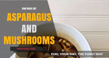 Can Dogs Safely Eat Asparagus and Mushrooms? A Pet Diet Guide