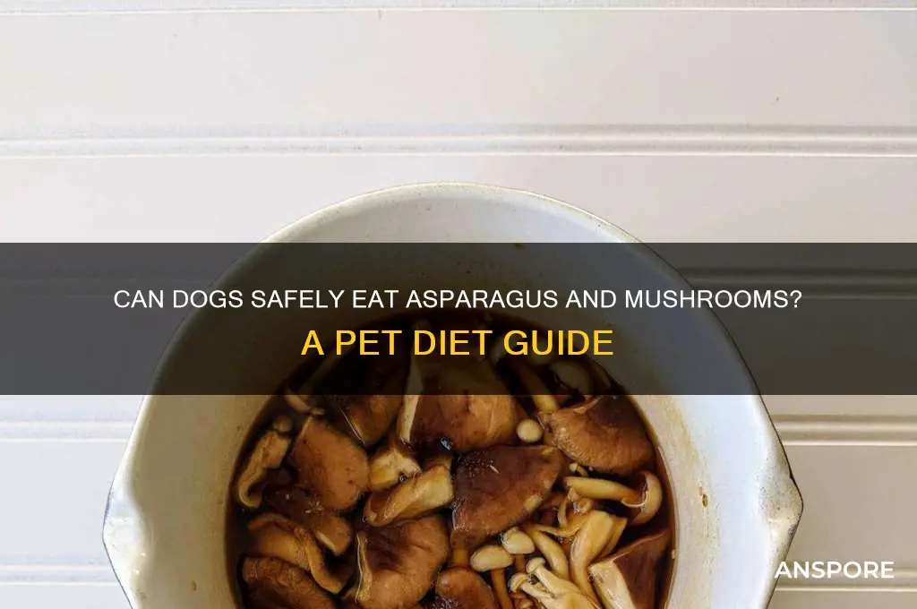 can dogs eat asparagus and mushrooms