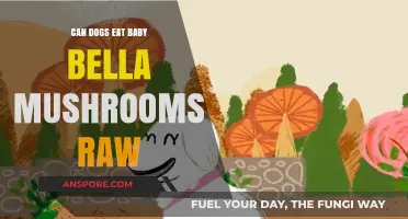 Can Dogs Safely Eat Raw Baby Bella Mushrooms? Find Out Here