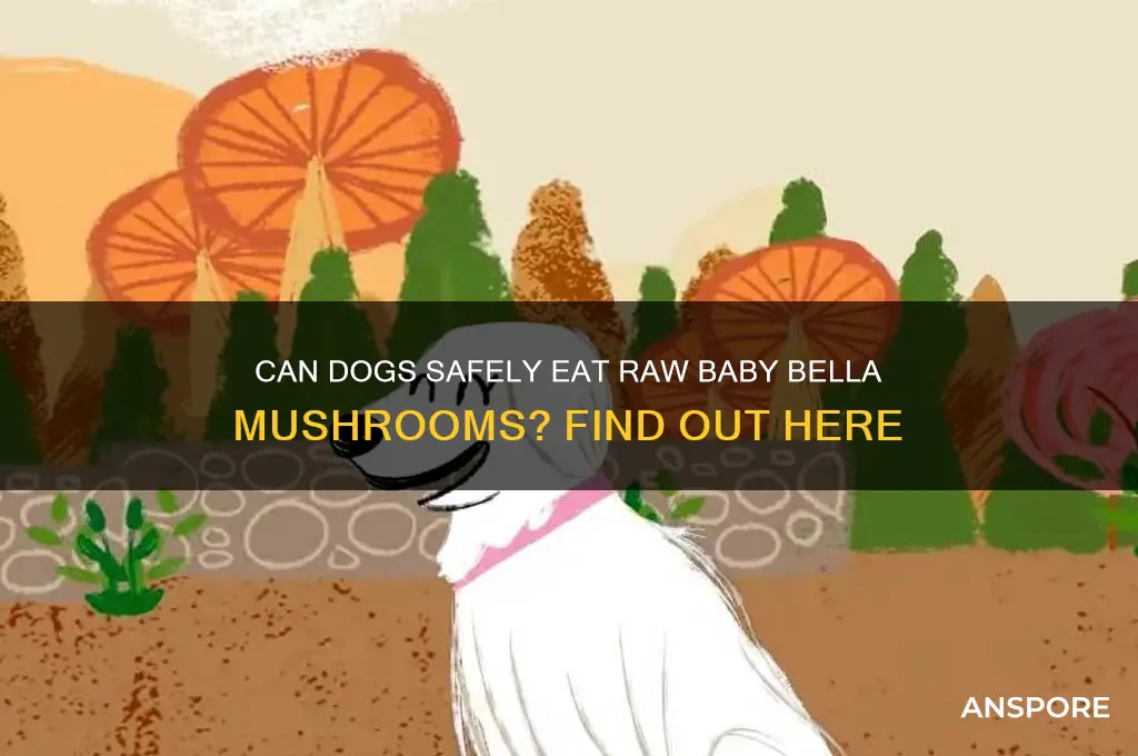 can dogs eat baby bella mushrooms raw