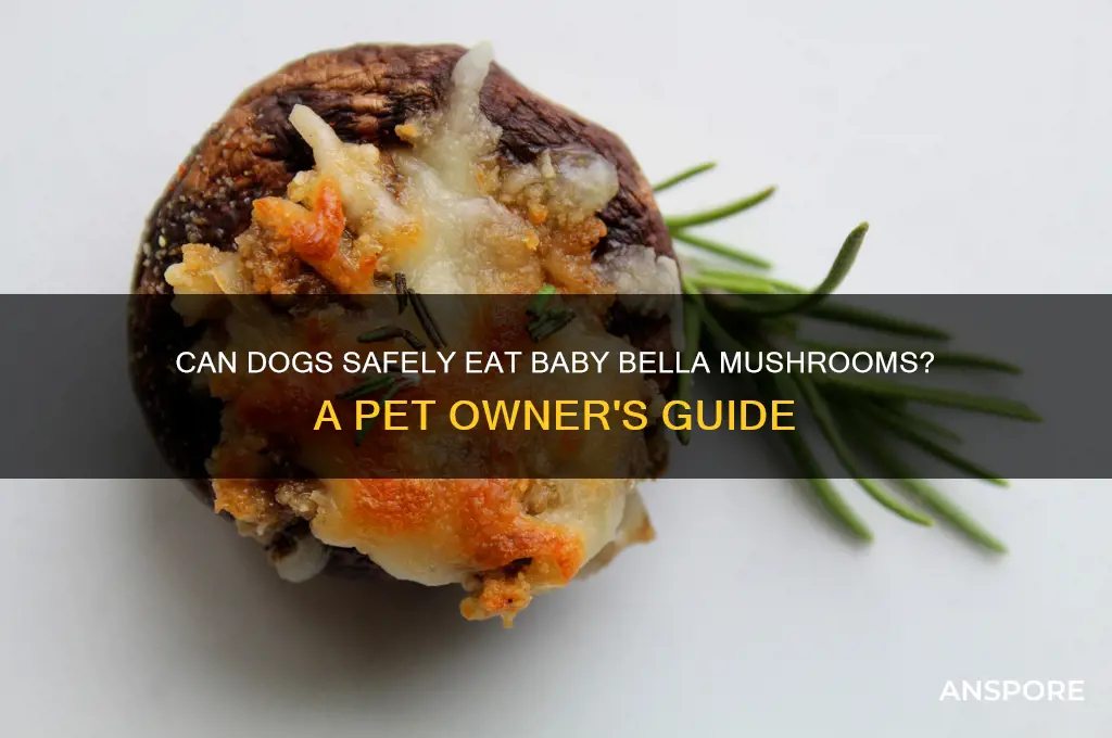 can dogs eat baby bella mushrooms