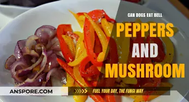 Can Dogs Safely Eat Bell Peppers and Mushrooms? A Guide