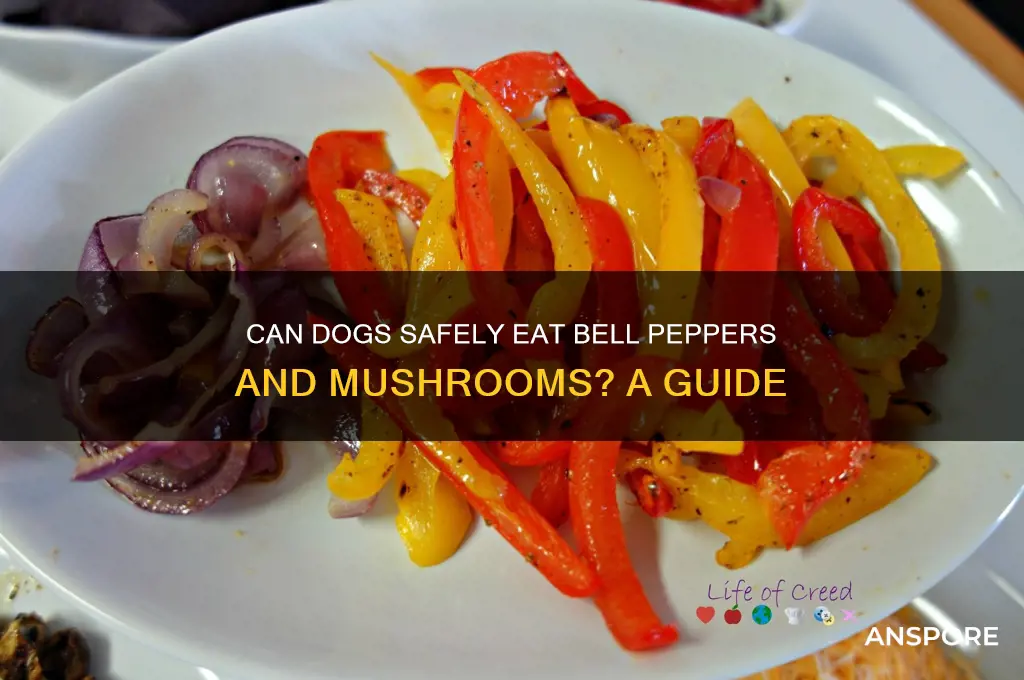 can dogs eat bell peppers and mushrooms