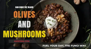Can Dogs Safely Eat Black Olives and Mushrooms? A Guide