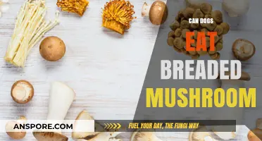 Can Dogs Eat Breaded Mushrooms? Safety Tips for Pet Owners