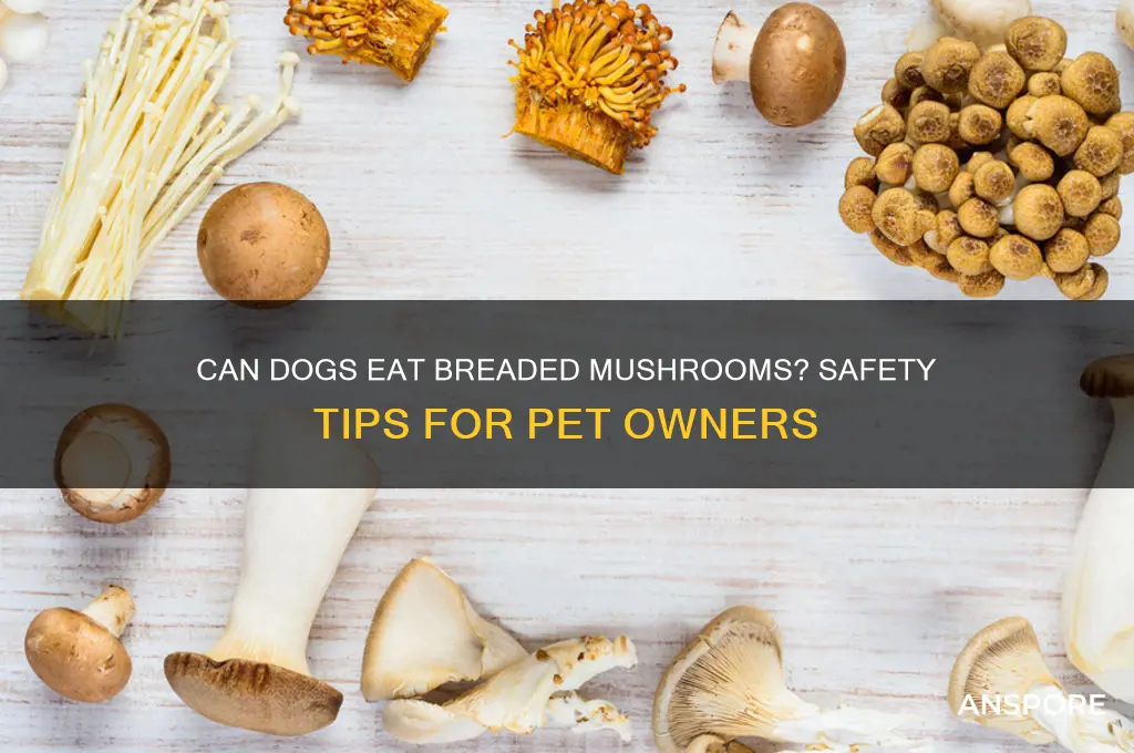 can dogs eat breaded mushrooms
