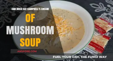 Can Dogs Safely Eat Campbell's Cream of Mushroom Soup?