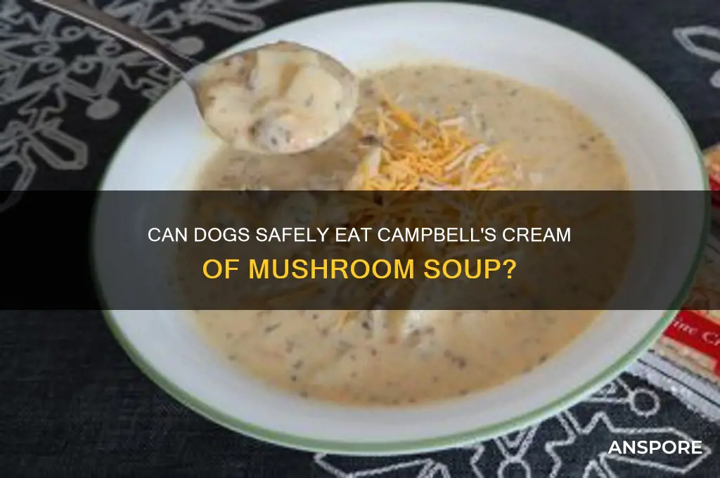 can dogs eat campbell