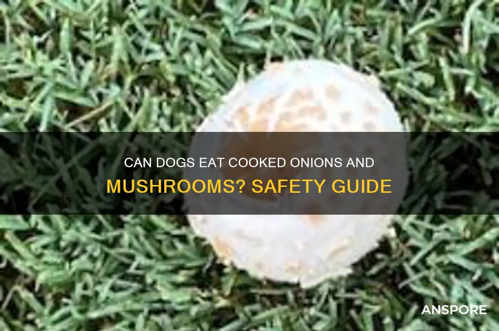 can dogs eat cooked onions and mushrooms