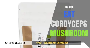 Can Dogs Safely Eat Cordyceps Mushrooms? A Pet Owner's Guide