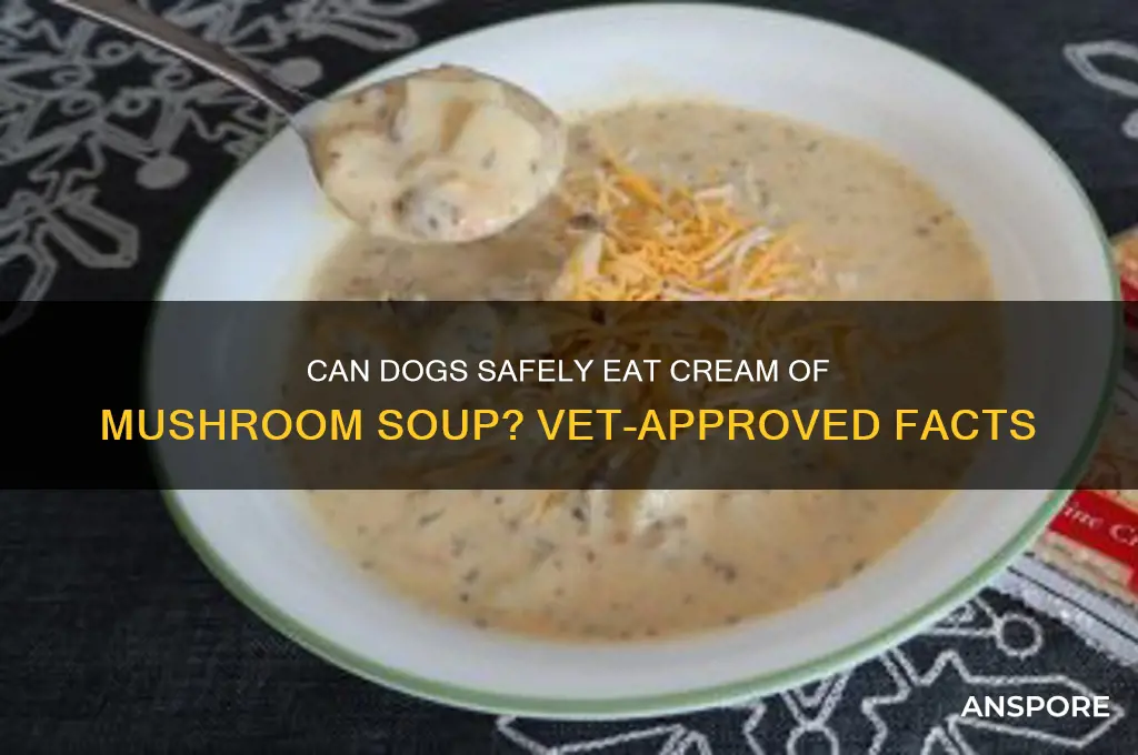 can dogs eat cream of mushroom spup