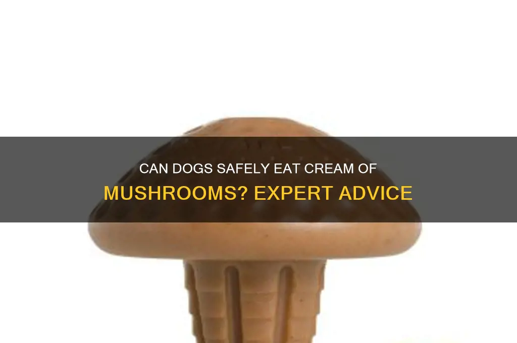 can dogs eat cream of mushrooms