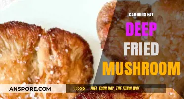 Can Dogs Safely Eat Deep Fried Mushrooms? Vet-Approved Advice