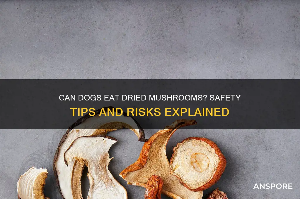 can dogs eat dried mushrooms
