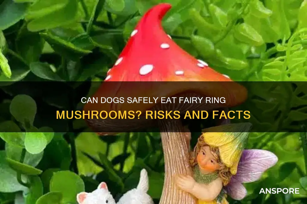 can dogs eat fairy ring mushrooms