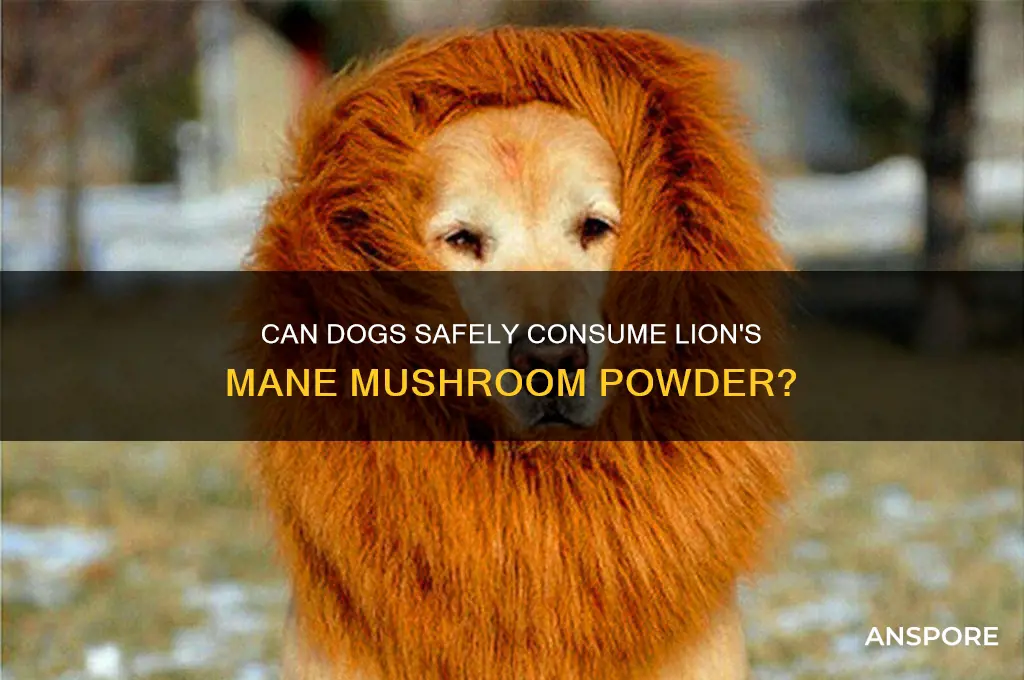 can dogs eat lion