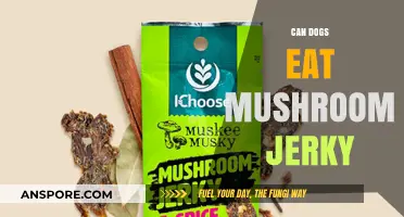 Can Dogs Safely Enjoy Mushroom Jerky? A Pet Owner's Guide