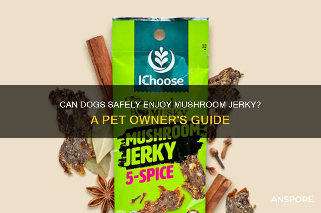can dogs eat mushroom jerky