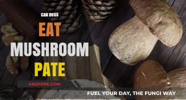 Can Dogs Safely Eat Mushroom Pate? A Pet Owner's Guide