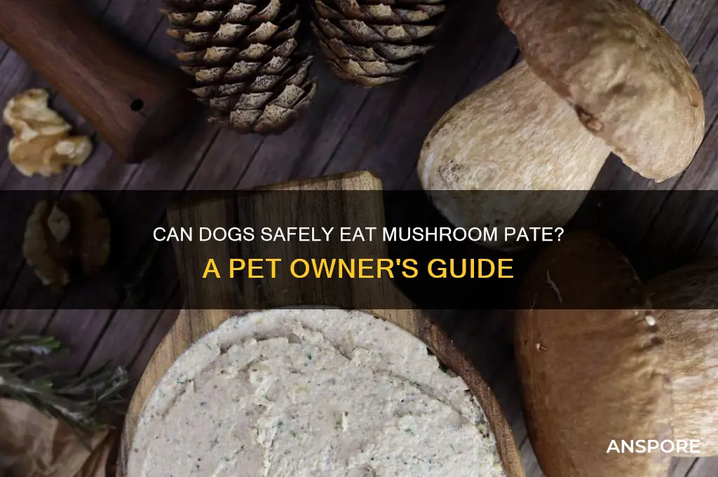 can dogs eat mushroom pate