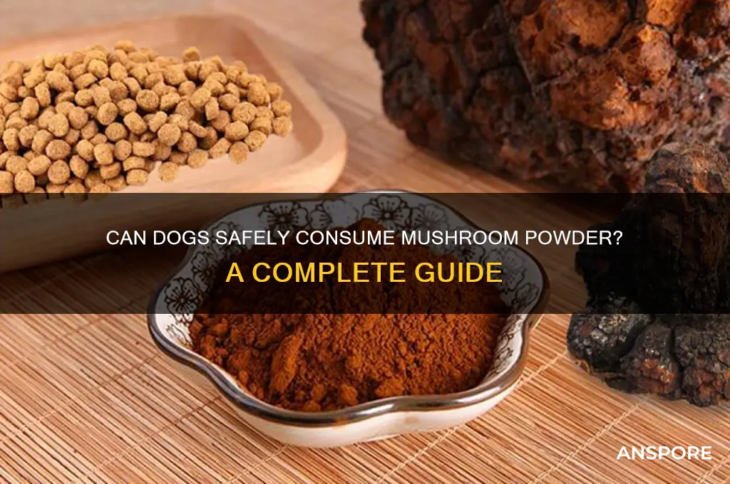 can dogs eat mushroom powder
