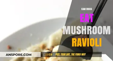 Can Dogs Safely Enjoy Mushroom Ravioli? A Pet Owner's Guide