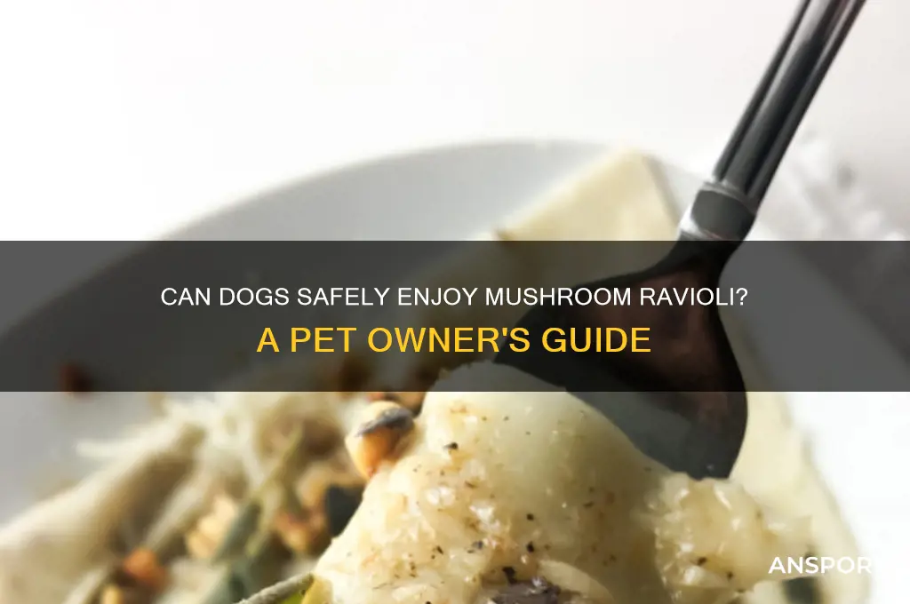 can dogs eat mushroom ravioli