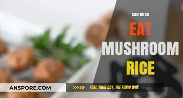 Can Dogs Eat Mushroom Rice? A Safe Feeding Guide