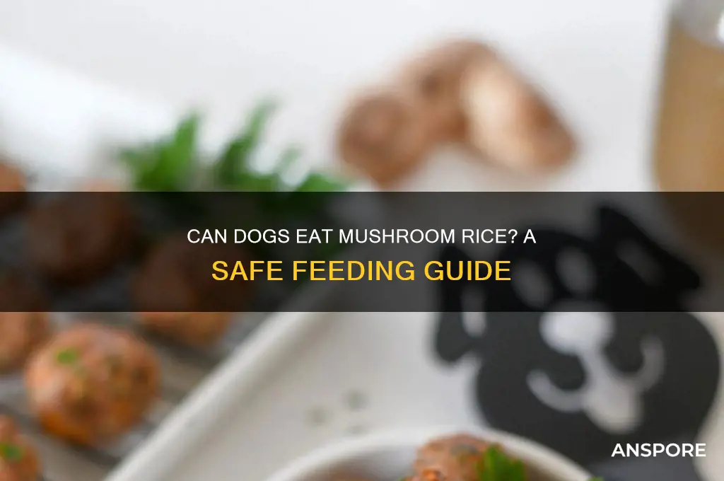 can dogs eat mushroom rice