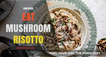 Can Dogs Safely Enjoy Mushroom Risotto? A Pet Owner's Guide