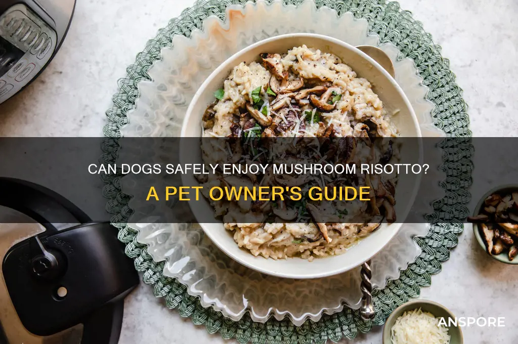 can dogs eat mushroom risotto