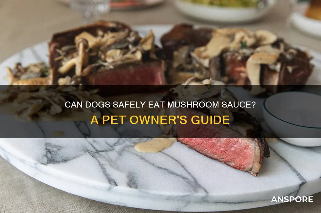 can dogs eat mushroom sauce