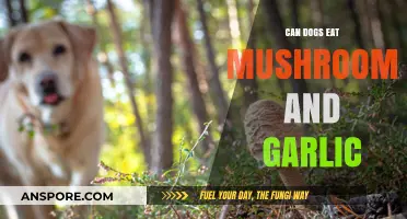 Mushrooms and Garlic for Dogs: Safe or Harmful?