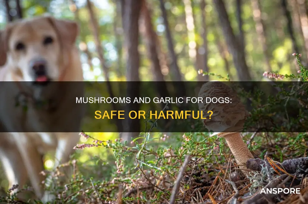 can dogs eat mushrooms and garlic