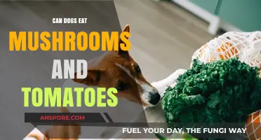 Mushrooms and Tomatoes: Safe or Toxic for Your Dog?
