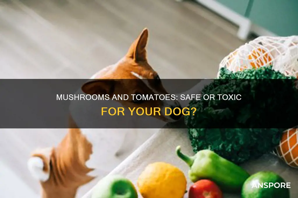 can dogs eat mushrooms and tomatoes