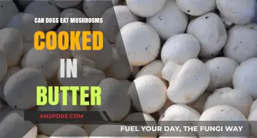 Can Dogs Safely Eat Butter-Cooked Mushrooms? A Pet Owner's Guide