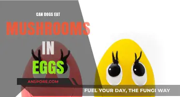 Can Dogs Safely Eat Mushrooms in Eggs? A Pet Owner's Guide